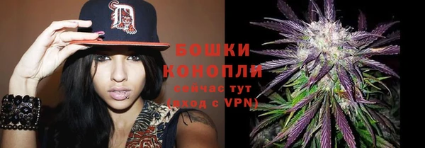 мдпв Медногорск