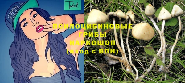 мдпв Медногорск