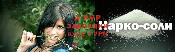 Альфа ПВП Медвежьегорск
